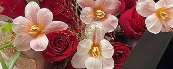 扶郎花的花语是什么
