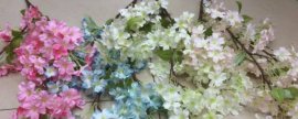 花土里面出现白色？三大原因及如何养护