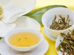 怎样使郁金香提前和延长开花