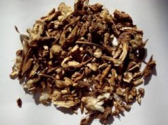白头翁的功效与作用：