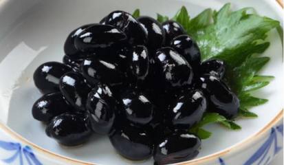 勋章菊的介绍