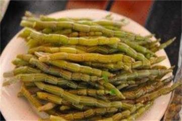 红掌水培和土培哪个生命力强