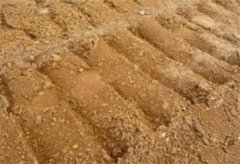 盆栽滴水观音用什么土养好，滴水观音怎么配土