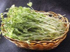 绿豆芽怎么发：手把手教你在家发绿豆芽