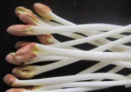 花生芽有毒吗：无毒,且比花生营养要高
