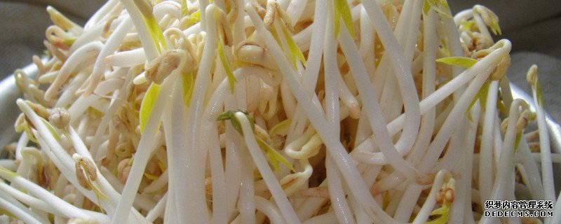 绿豆芽的叶子像什么