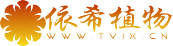花芭莎