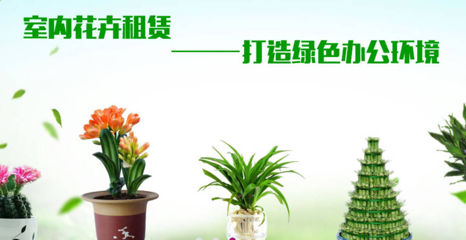 郑州逸然花卉：花卉租赁、立体绿化与办公区园林养护