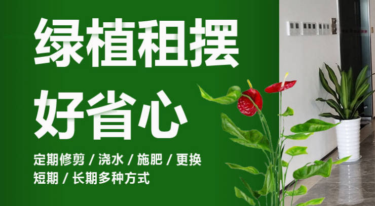 合肥轩晨园艺：专注合肥花卉租赁、植物租摆