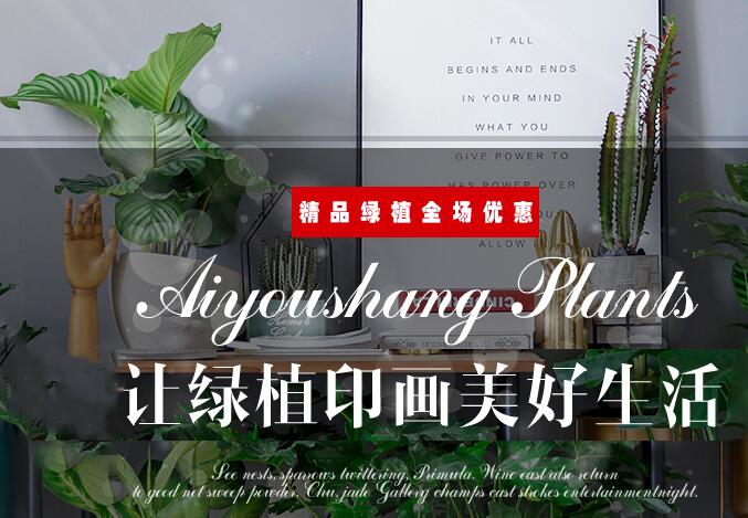 北京敬和园艺：做京城高品质的植物租赁公司