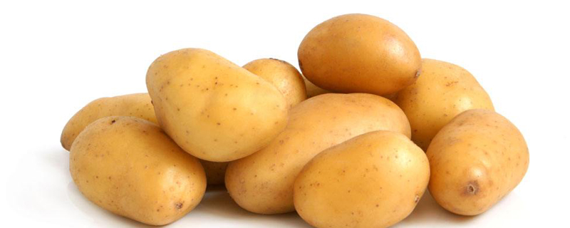 种土豆个大的秘诀